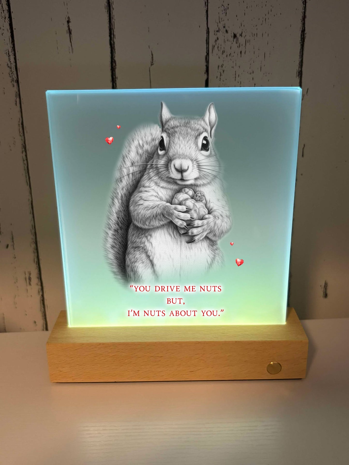 Personalised Photo Led Frame - Sketchy Animals