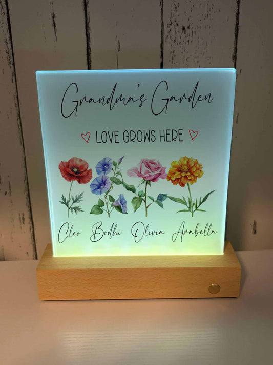 Love Grows Here - LED Frame