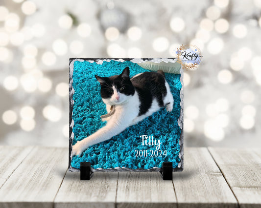 Pet Photo Slate - Glossy